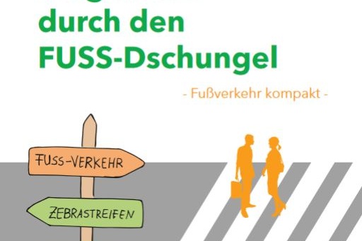 21-04-12 Webweiser durch den Fußverkehr