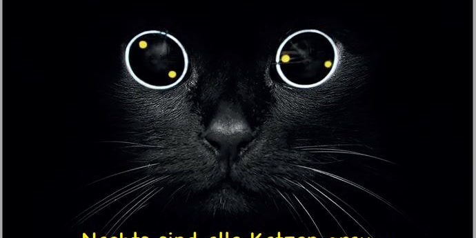 21-08-17 Postkarte Katze