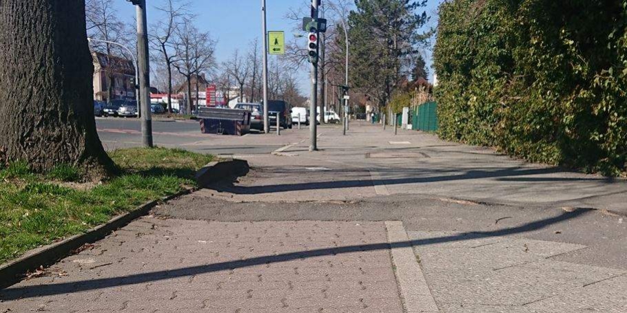 22-04-26 Wurzelaufbruch