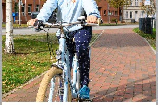 23-06-16 Inputpapier Verkehrssicherheit