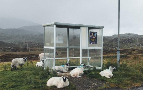 25-07-17 Haltestelle Schottland