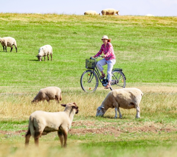 Radfahren in Schleswig-Holstein