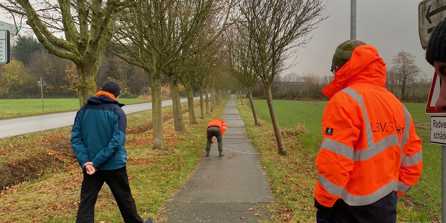 25-11-21 Wurzelaufbruch Hohenfelde