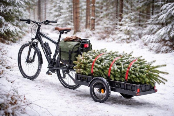 25-12-17 Weihnachten