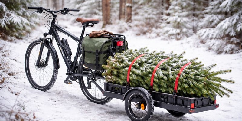 25-12-17 Weihnachten