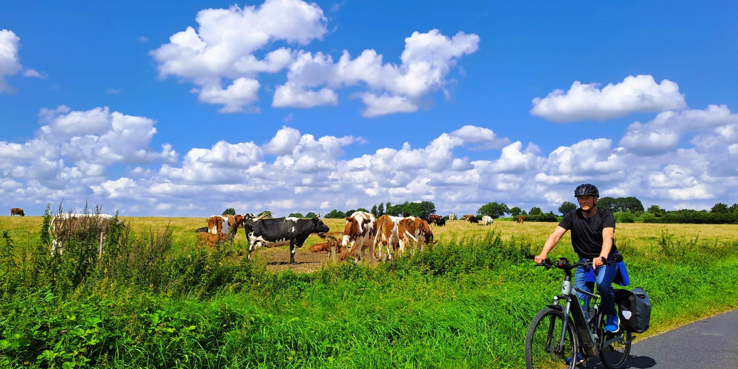 13a Schalkholz Landschaft
