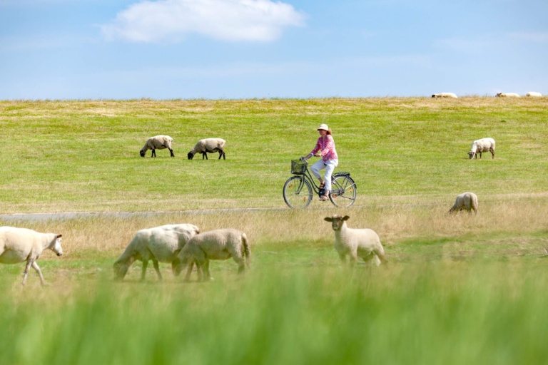 Radfahren in Schleswig-Holstein